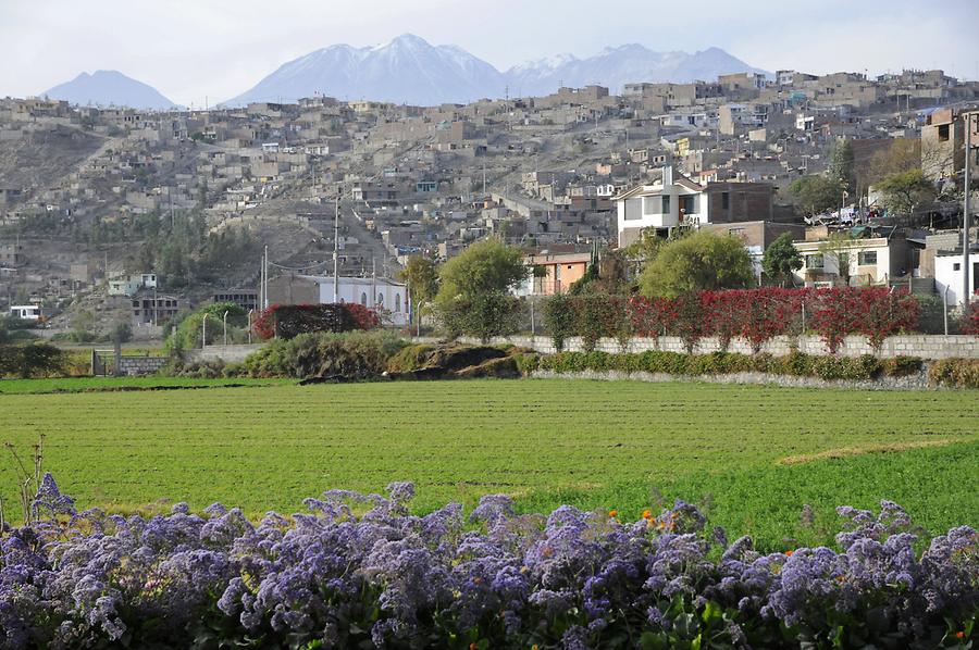 Arequipa-Tiabaya