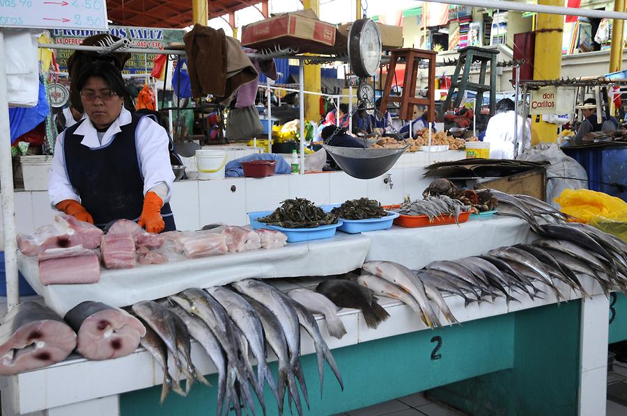 Fish Market