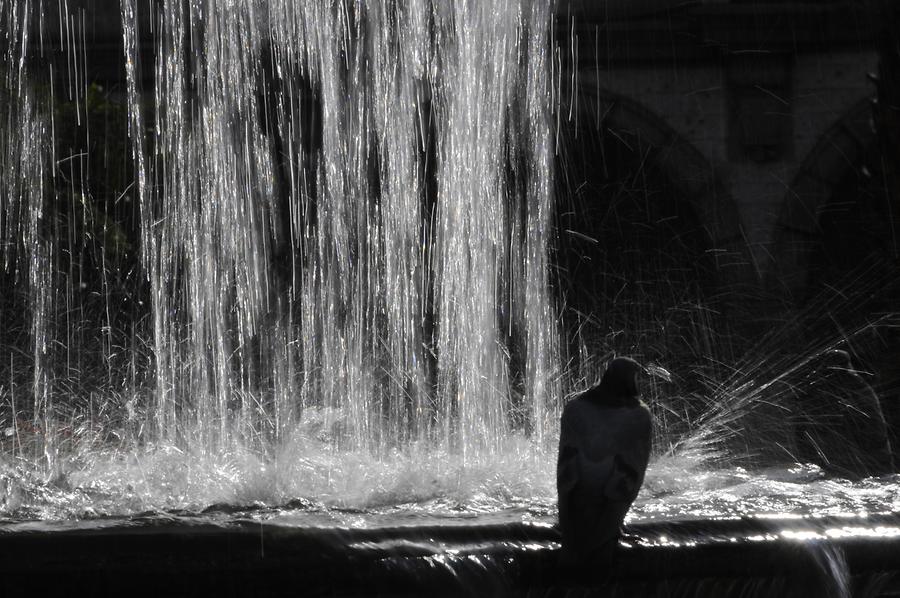 Plaza de Armas - Fountain