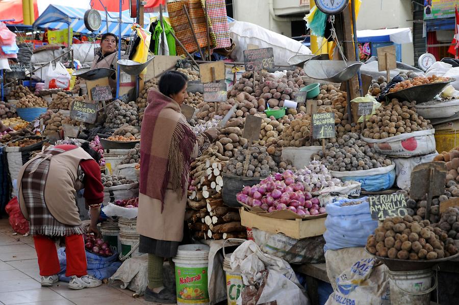 Potato Market