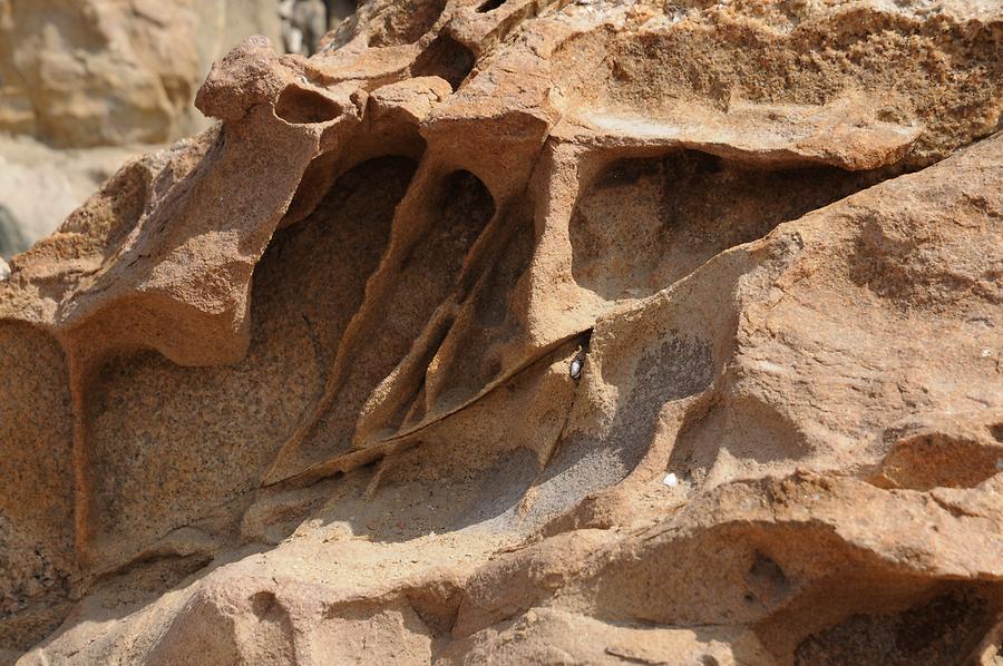 Rock Formations Along the Coast