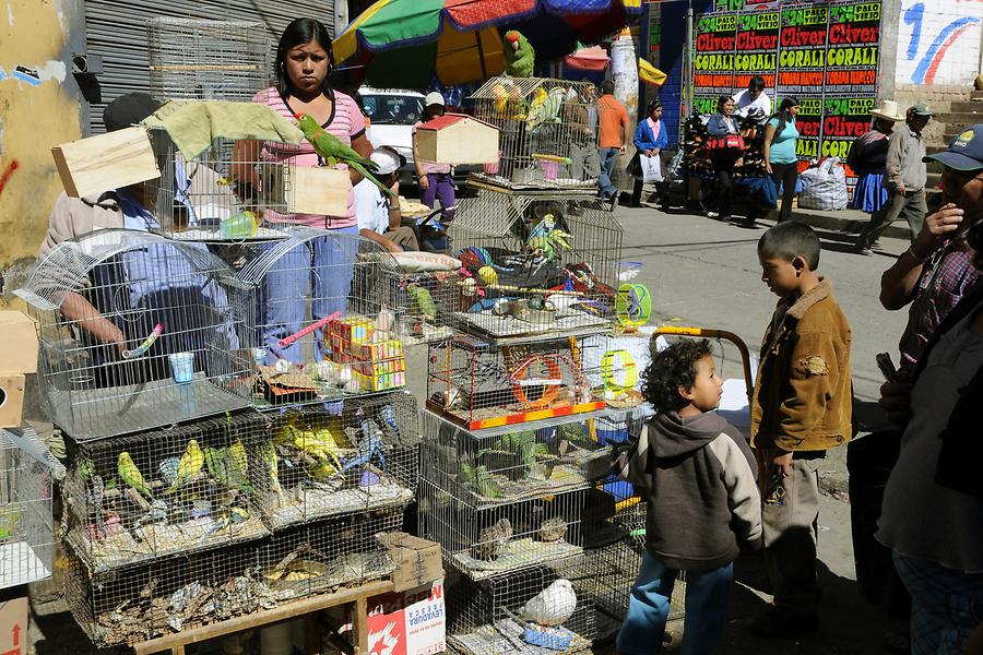 Cajamarca - Market