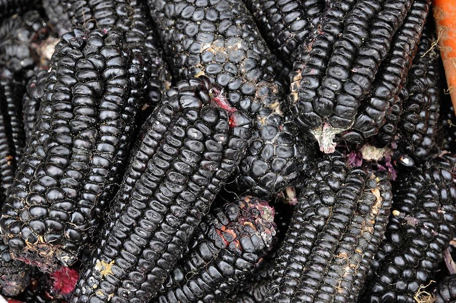 Celedin - Market Day; Black Corn