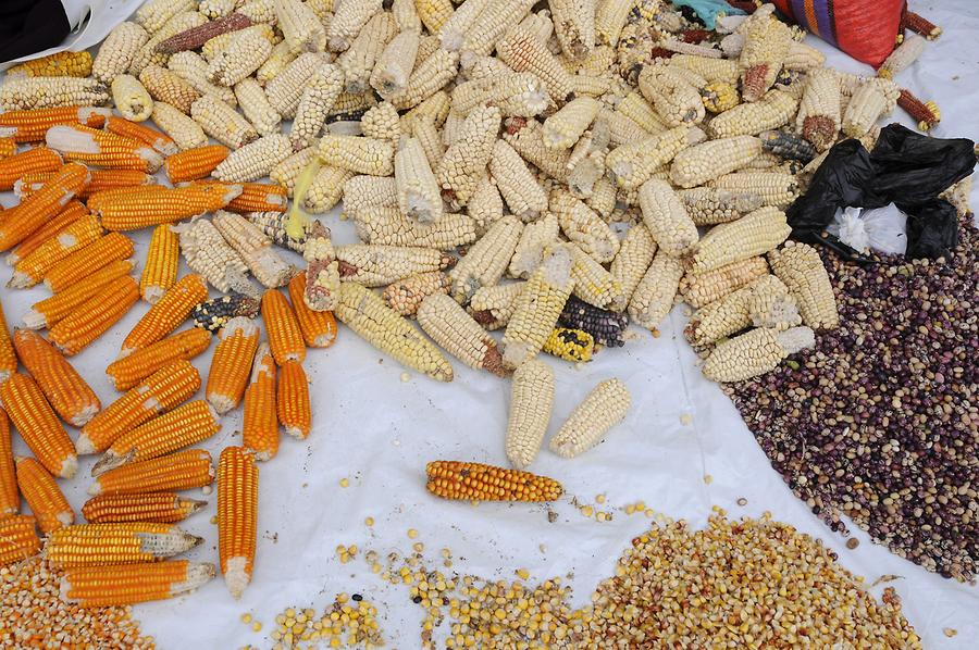 Celedin - Market Day; Corn