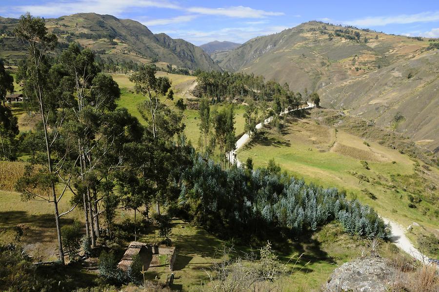 Landscape near Cumbayo