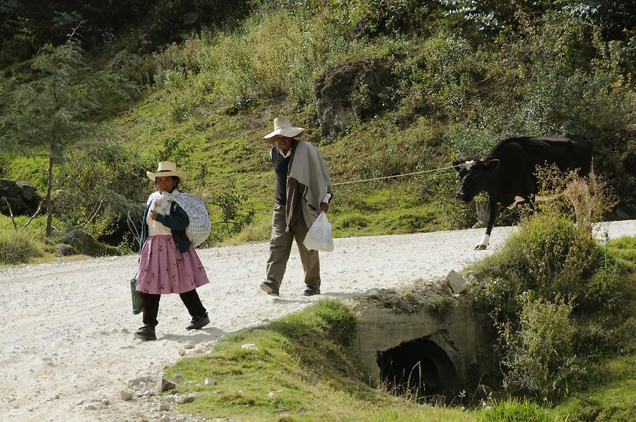 Landscape near Cumbayo