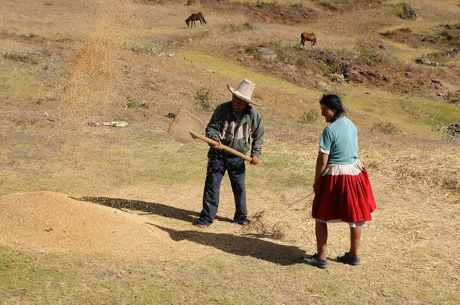 Rural Life near Cumbayo