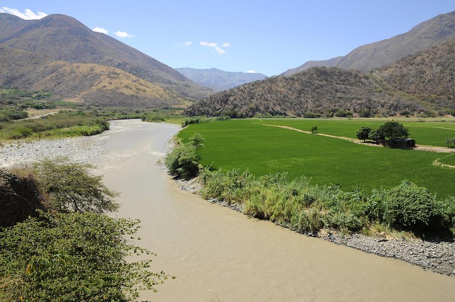 Chamaya Valley - Paddy Fields