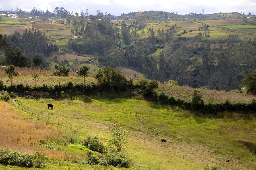 Landscape near Karajia