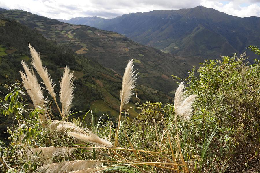 Landscape near Kuelap