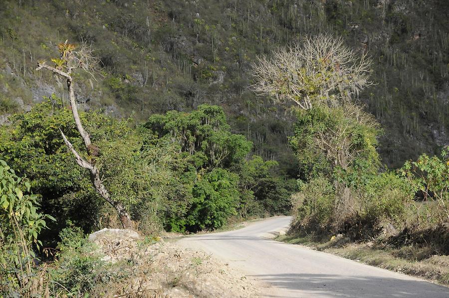 Valley of the Utcubamba River