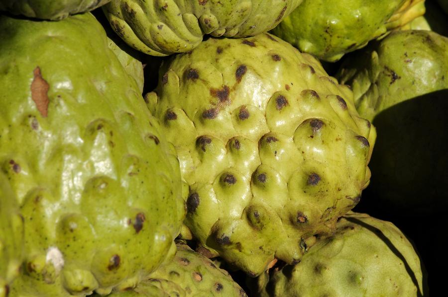 Cherimoya