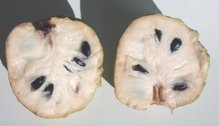 Cherimoya