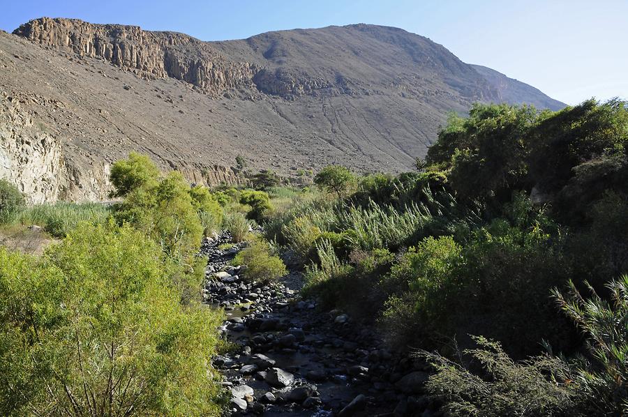 Landscape near Tambladera