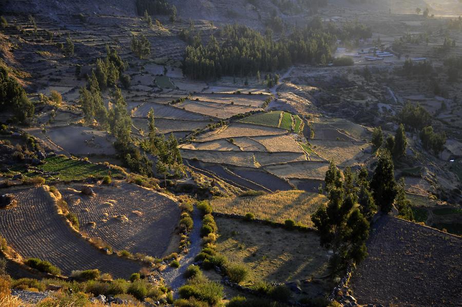 Colca Canyon