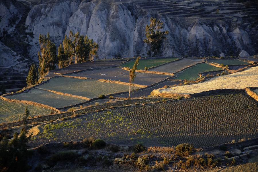 Colca Canyon