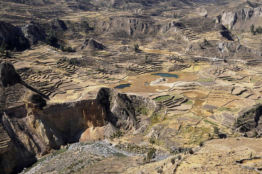 Colca Canyon