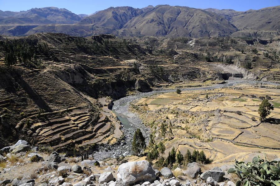 Colca Canyon