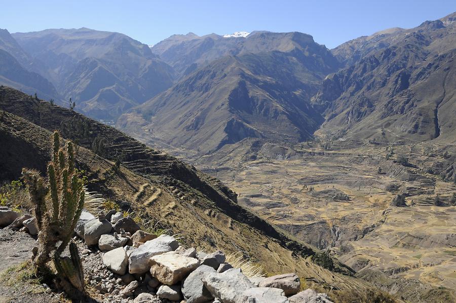 Colca Canyon