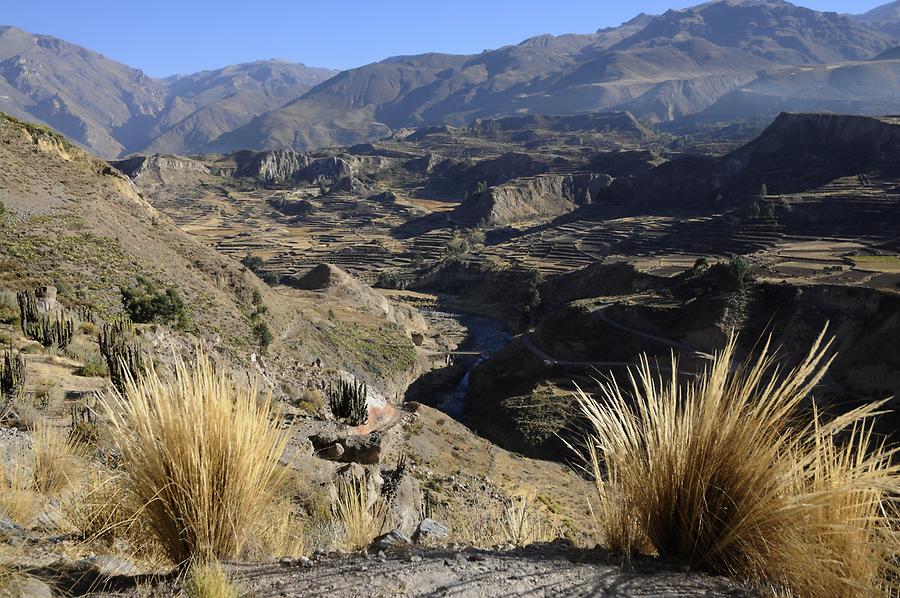 Colca Canyon