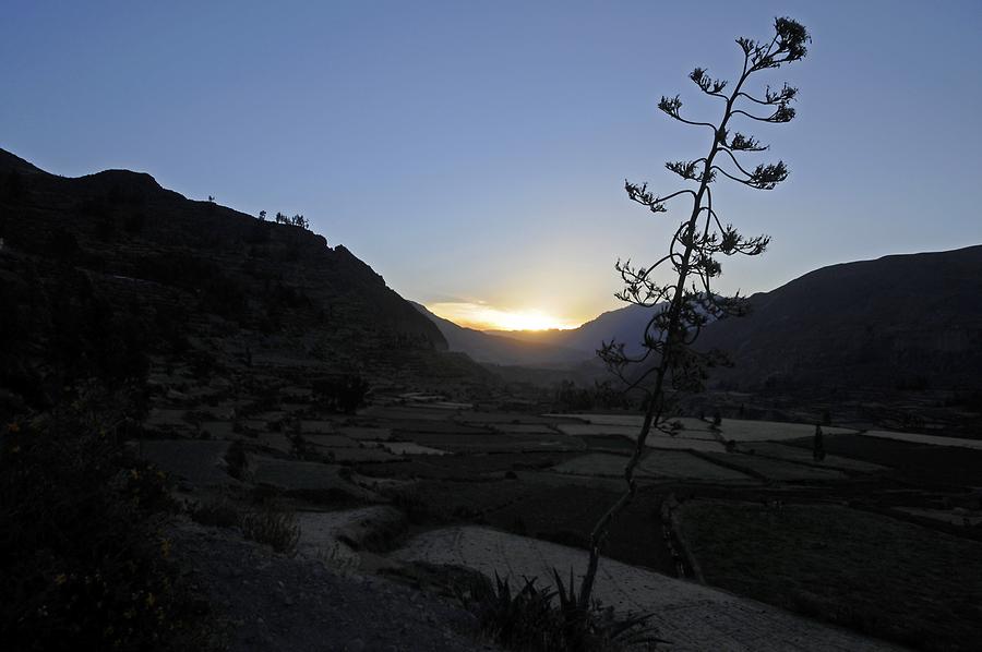 Colca Canyon at Sunset