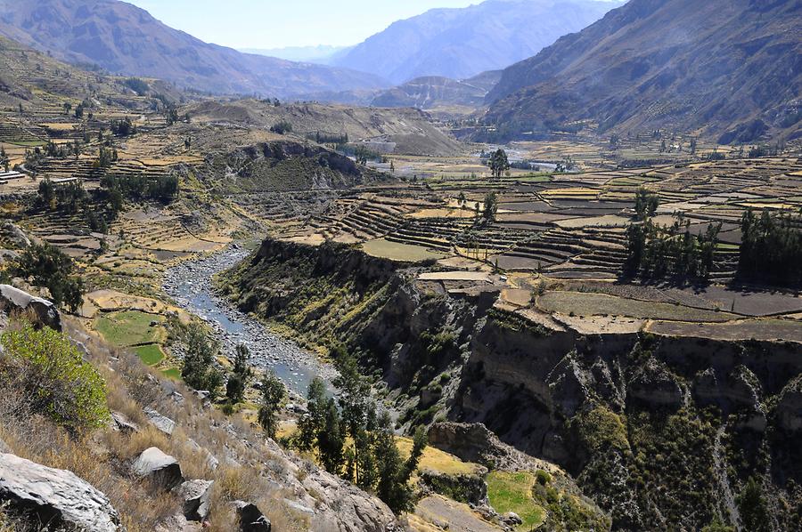 Colca Canyon near Yanque