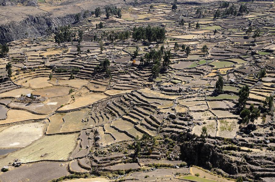 Colca Valley