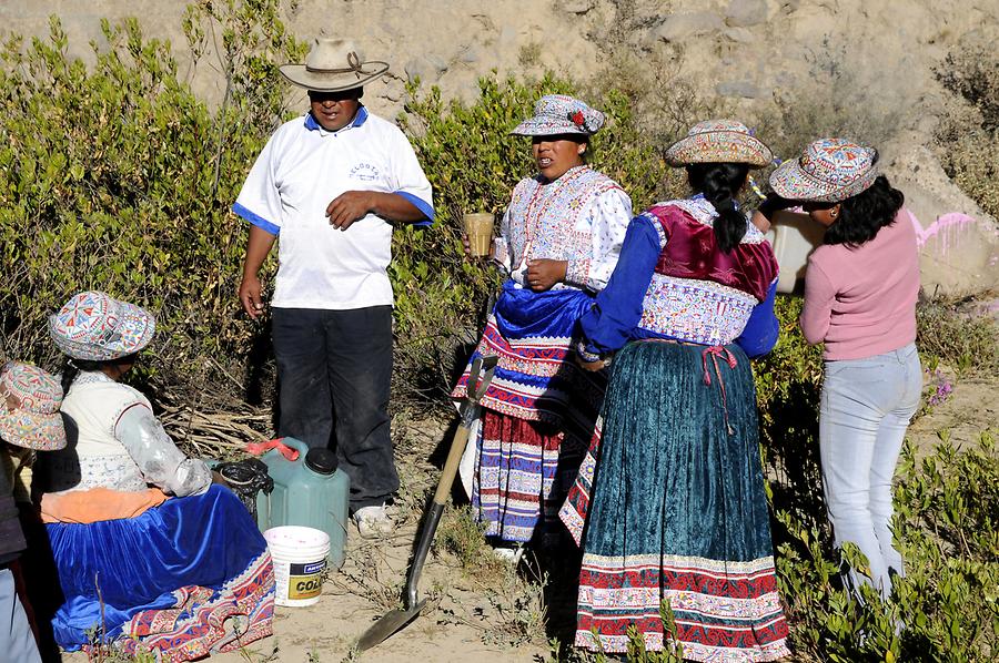 Pinchollo - Water Sanctuary; Chicha