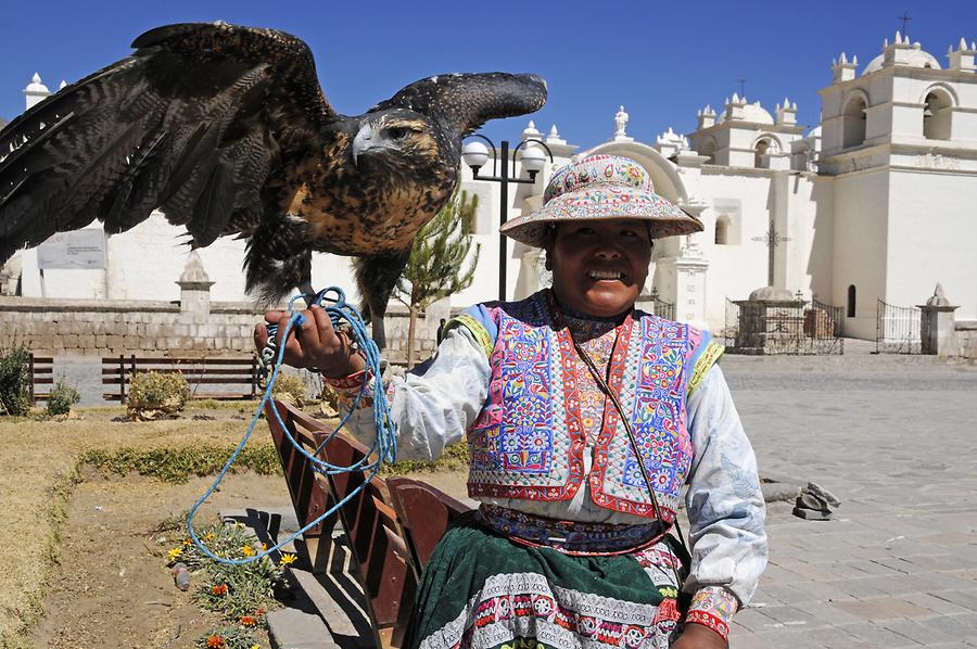 Yanque - Main Square; Tamed Vulture