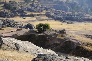 Sacsayhuamán - Temple (1)