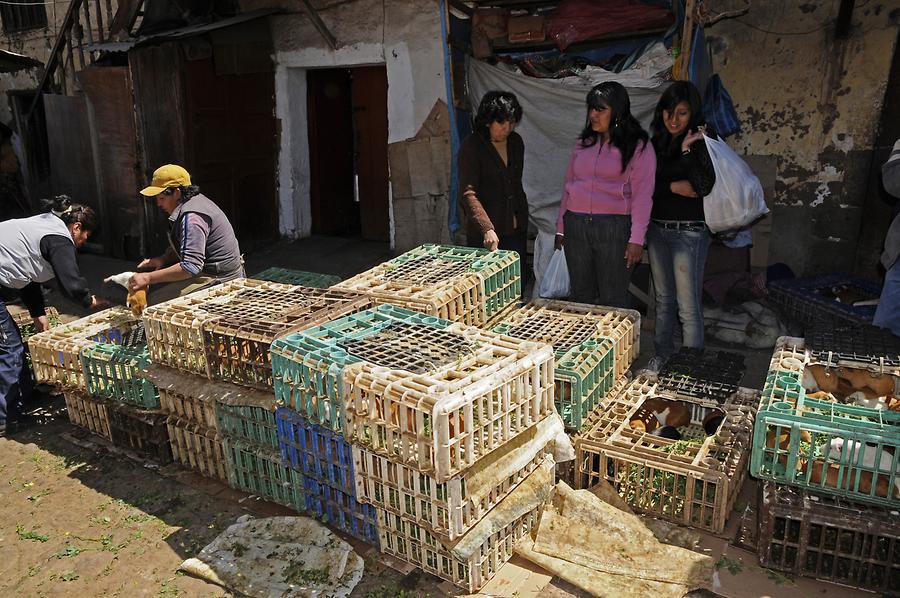 San Pedro Market - 'Cuy' San Pedro Market - 'Cuy'