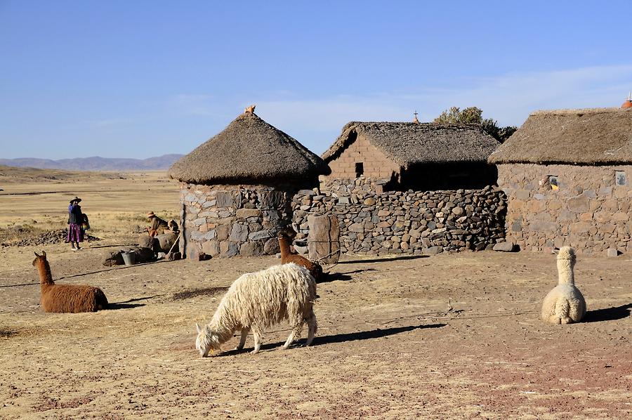 Farm near Sillustani