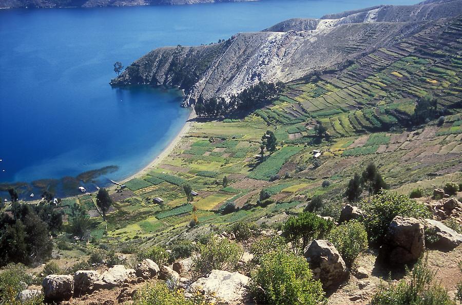 Island of the Sun - Terraced Fields