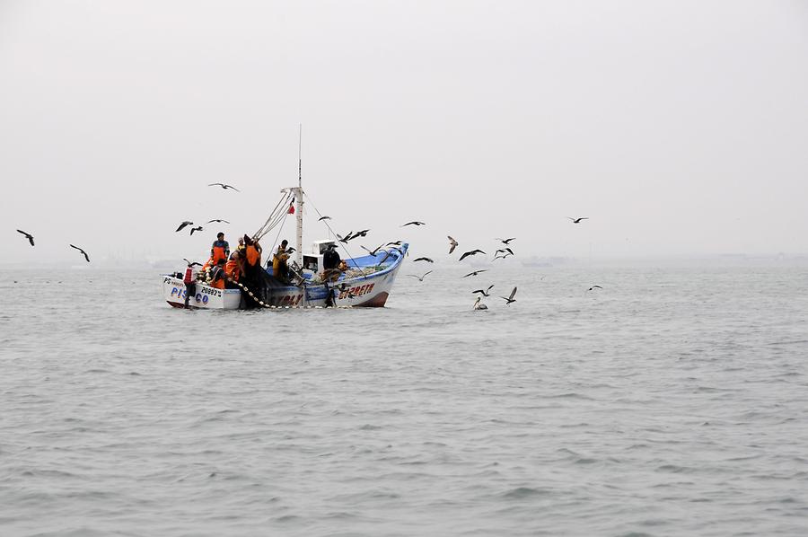 Chorillos District - Fishing Boat