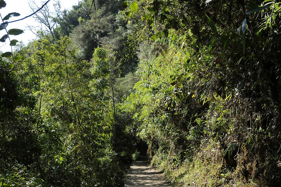 Inca Trail near Machu Picchu Inca Trail near Machu Picchu