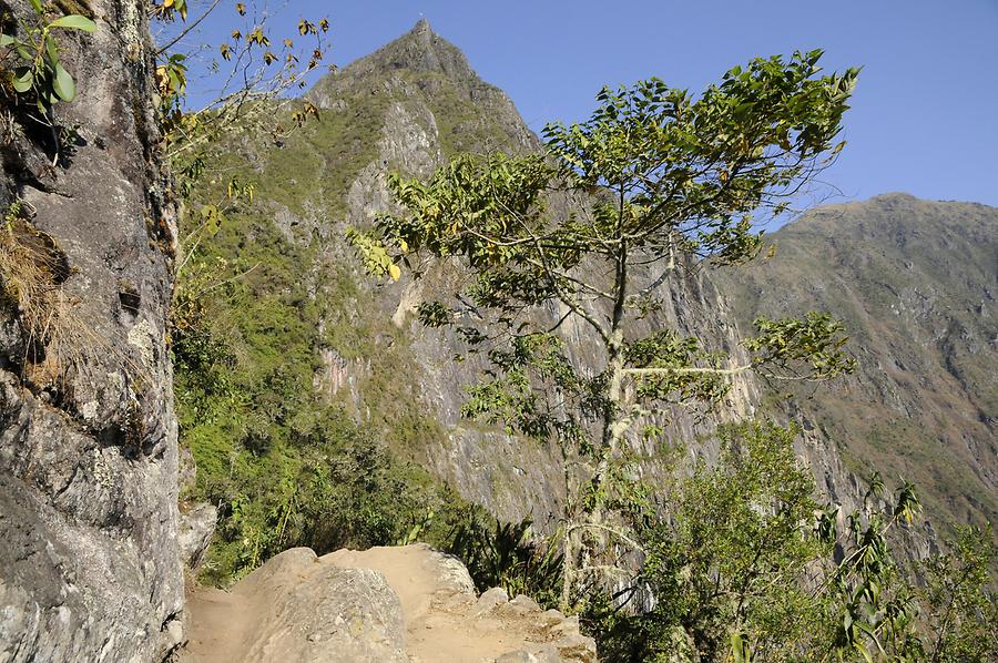 Inca Trail near Machu Picchu
