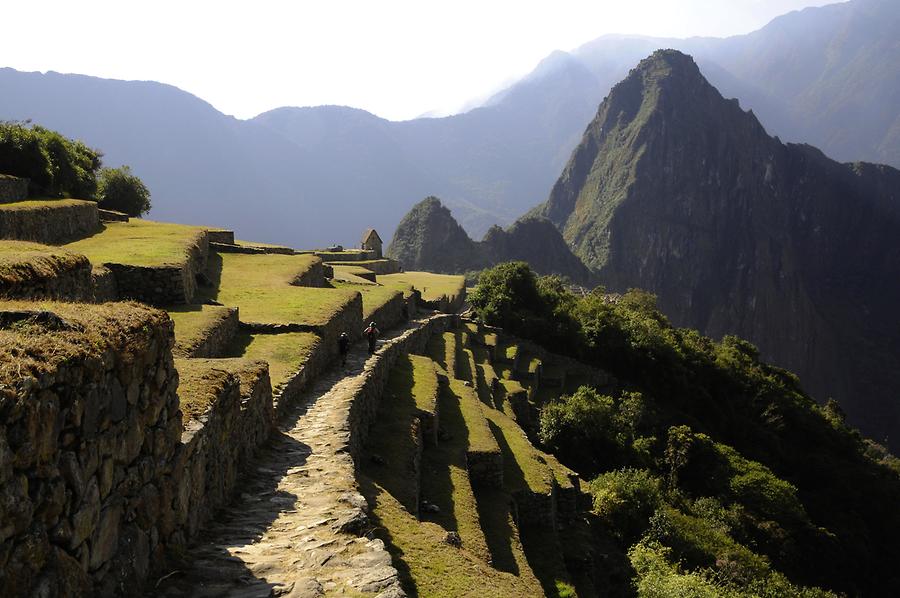 Terraced Fields