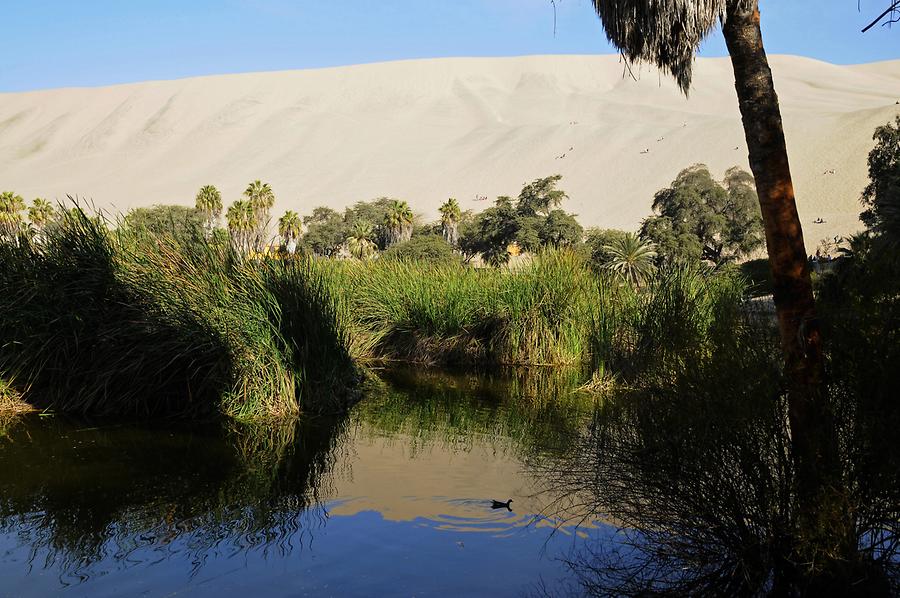 Huacachina