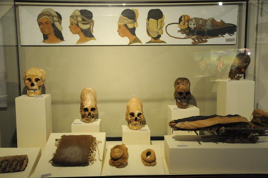 Ica - Musem; Skull Deformations