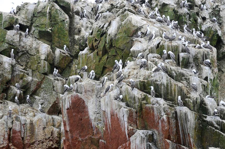 Islas Ballestas