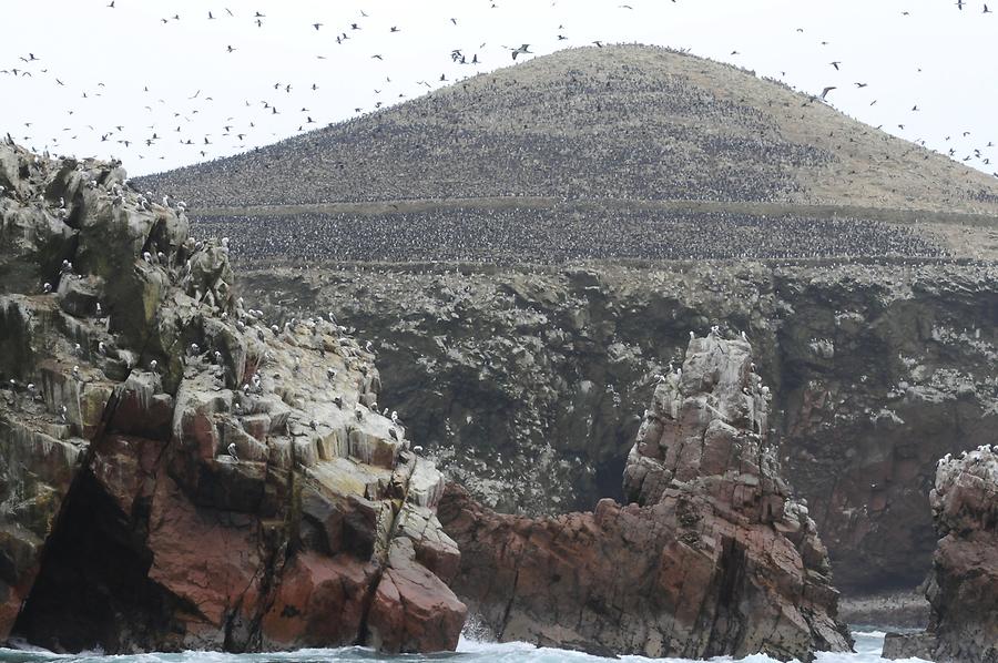 Islas Ballestas