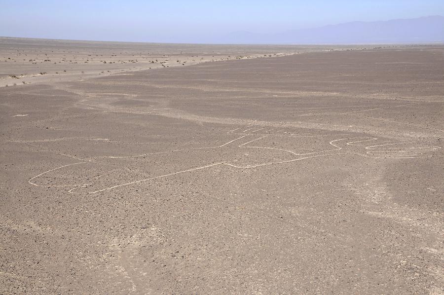 Lines and Geoglyphs: 'Hands'