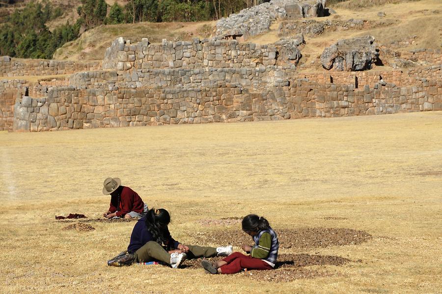 Chinchero - Terraces; Potato Harvest