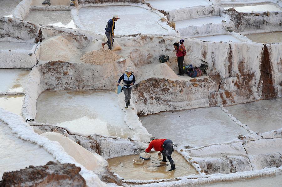 Maras - Salt Ponds; Harvest