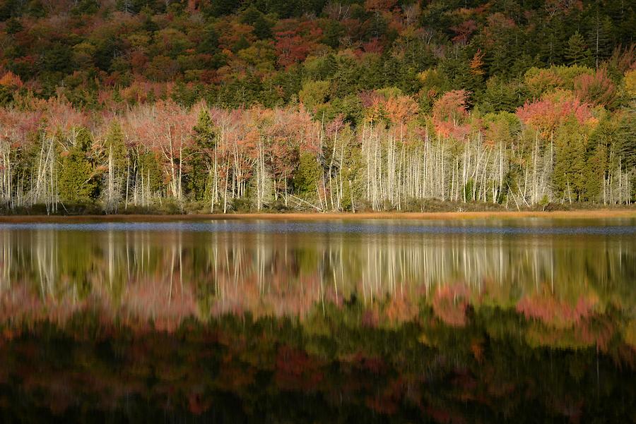 Acadia National Park - Seal Cove Pond