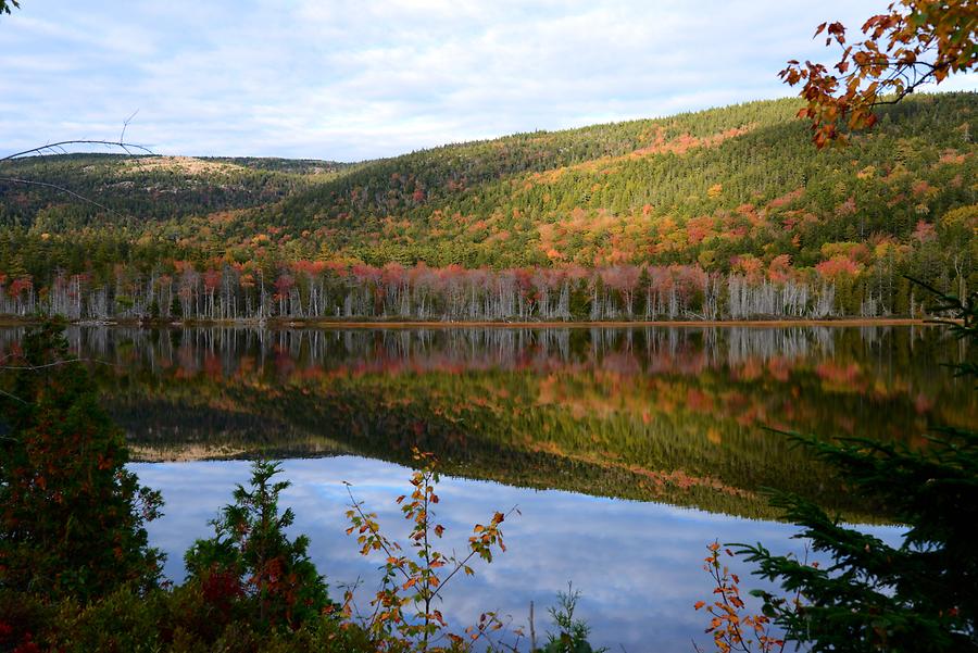 Acadia National Park - Seal Cove Pond