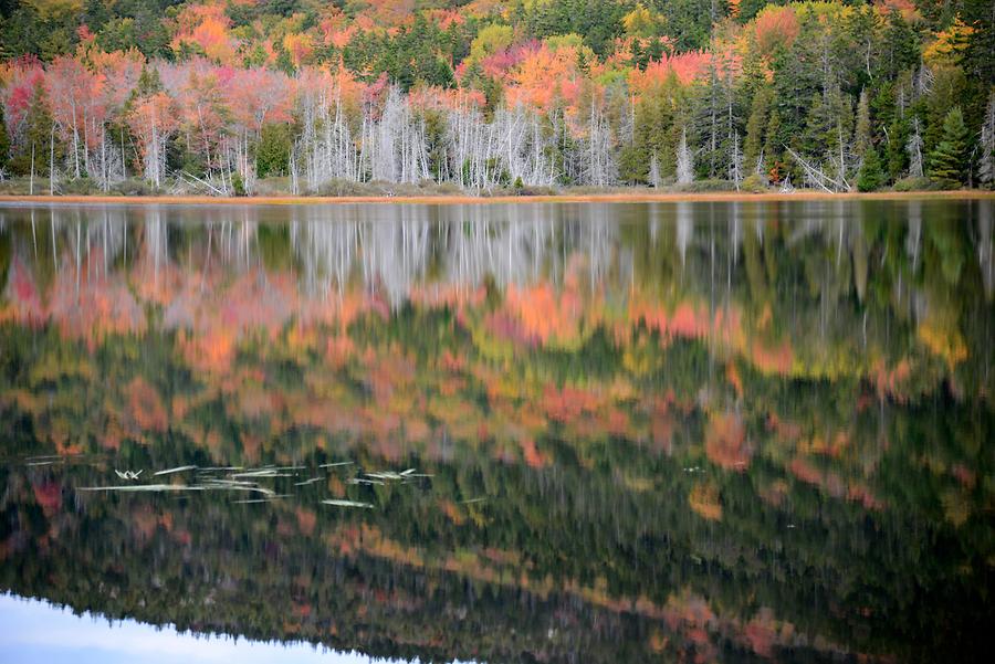 Acadia National Park - Seal Cove Pond