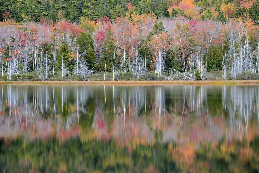 Acadia National Park - Seal Cove Pond