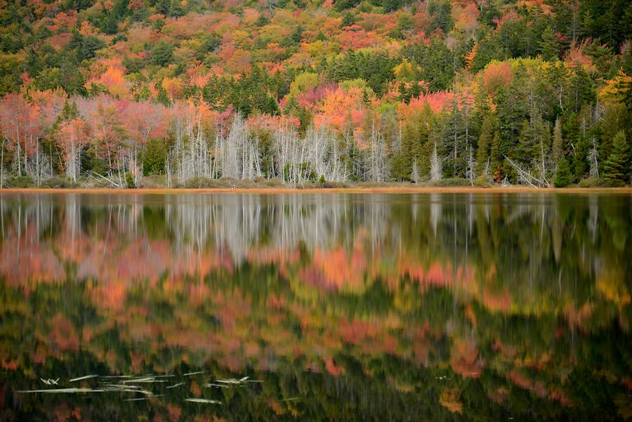 Acadia National Park - Seal Cove Pond