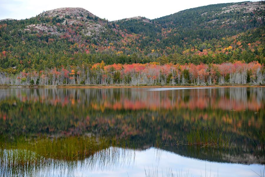 Acadia National Park - Seal Cove Pond